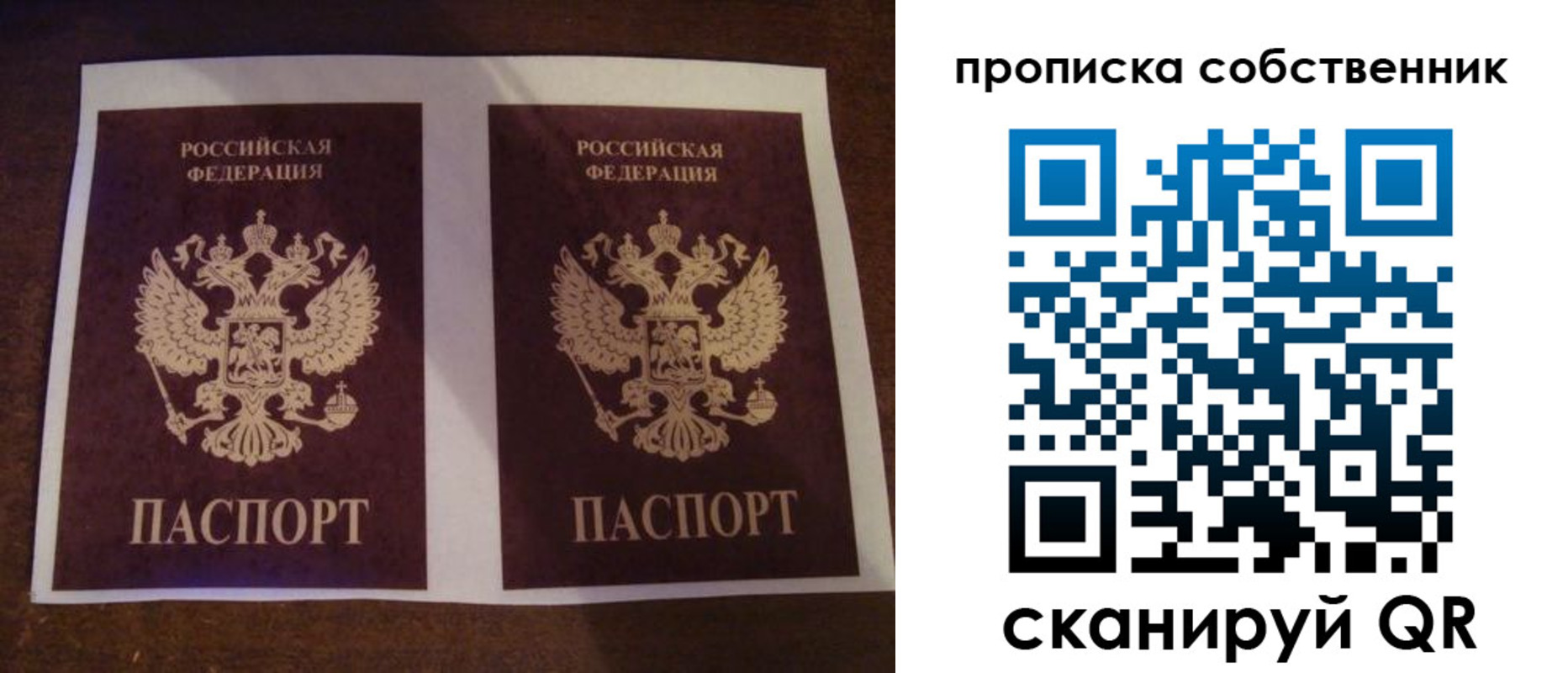 прописка ребенка в Долгопрудном